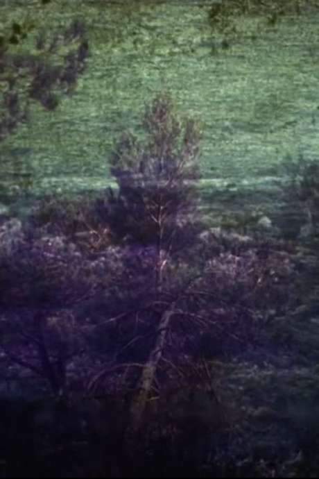 A mesmerizing collection of aged photographs hints at a significant, past event. Villagers seek refuge in a cave, where they are captivated by projected images, seeking respite and wonder. However, their fascination comes at a steep cost, as they face unforeseen consequences for indulging in this illusion.